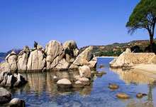 如何快速获取NBA即时比分？不同平台的实时数据有什么特点？